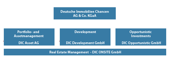Company Structure of DIC